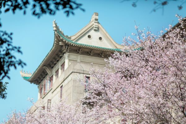 Universidade de Wuhan