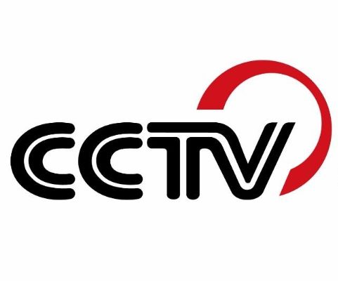 CCTV.com.