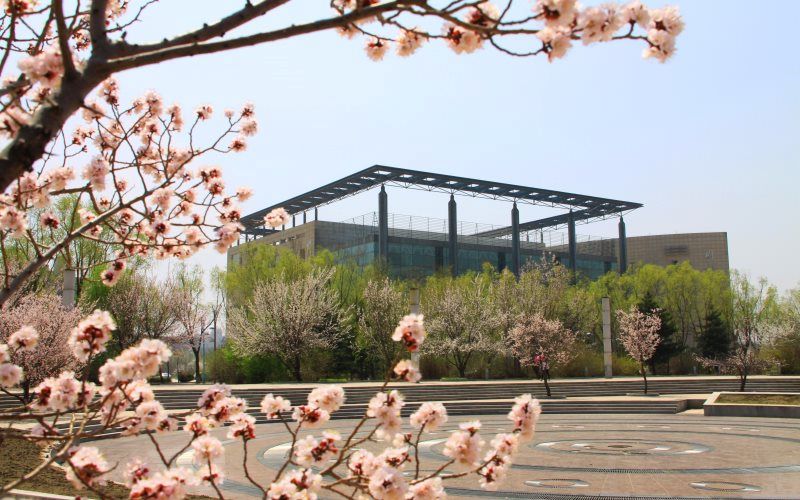 Universidad de Jilin